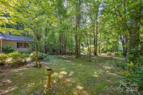 144 Beechwood Drive Columbus NC 28722
