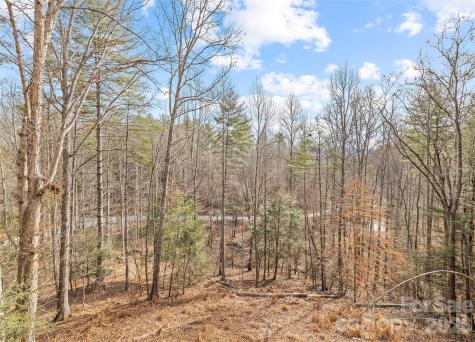 553 River Bend Drive Mars Hill NC 28754