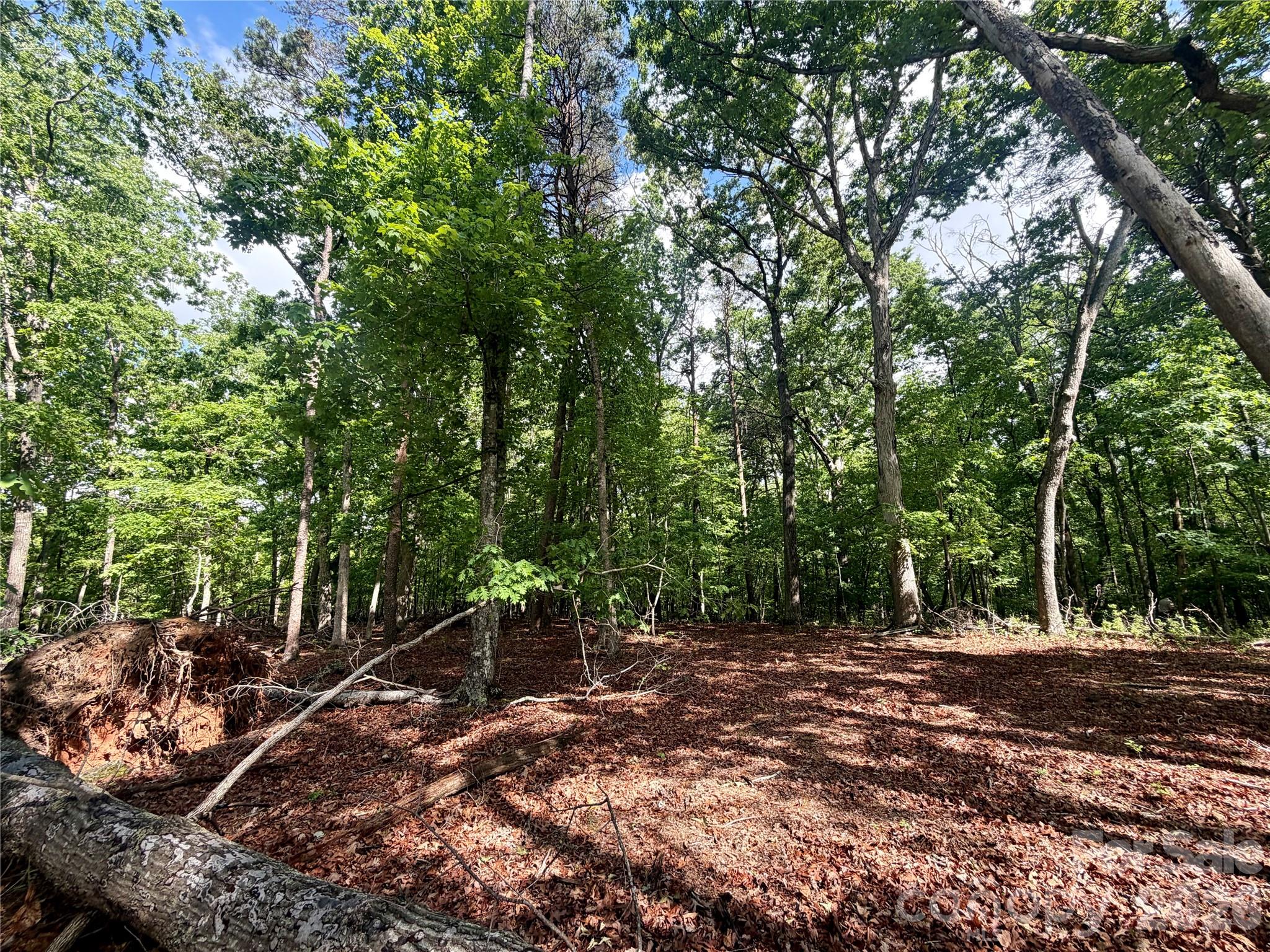 232 Chase Drive Forest City NC 28043