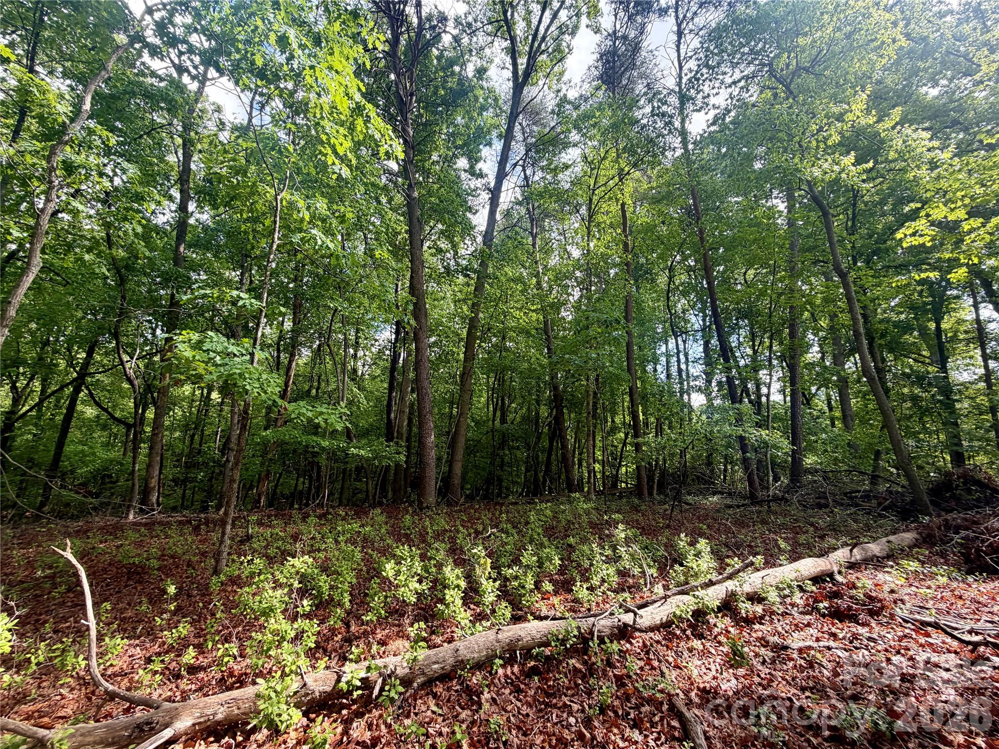 232 Chase Drive Forest City NC 28043
