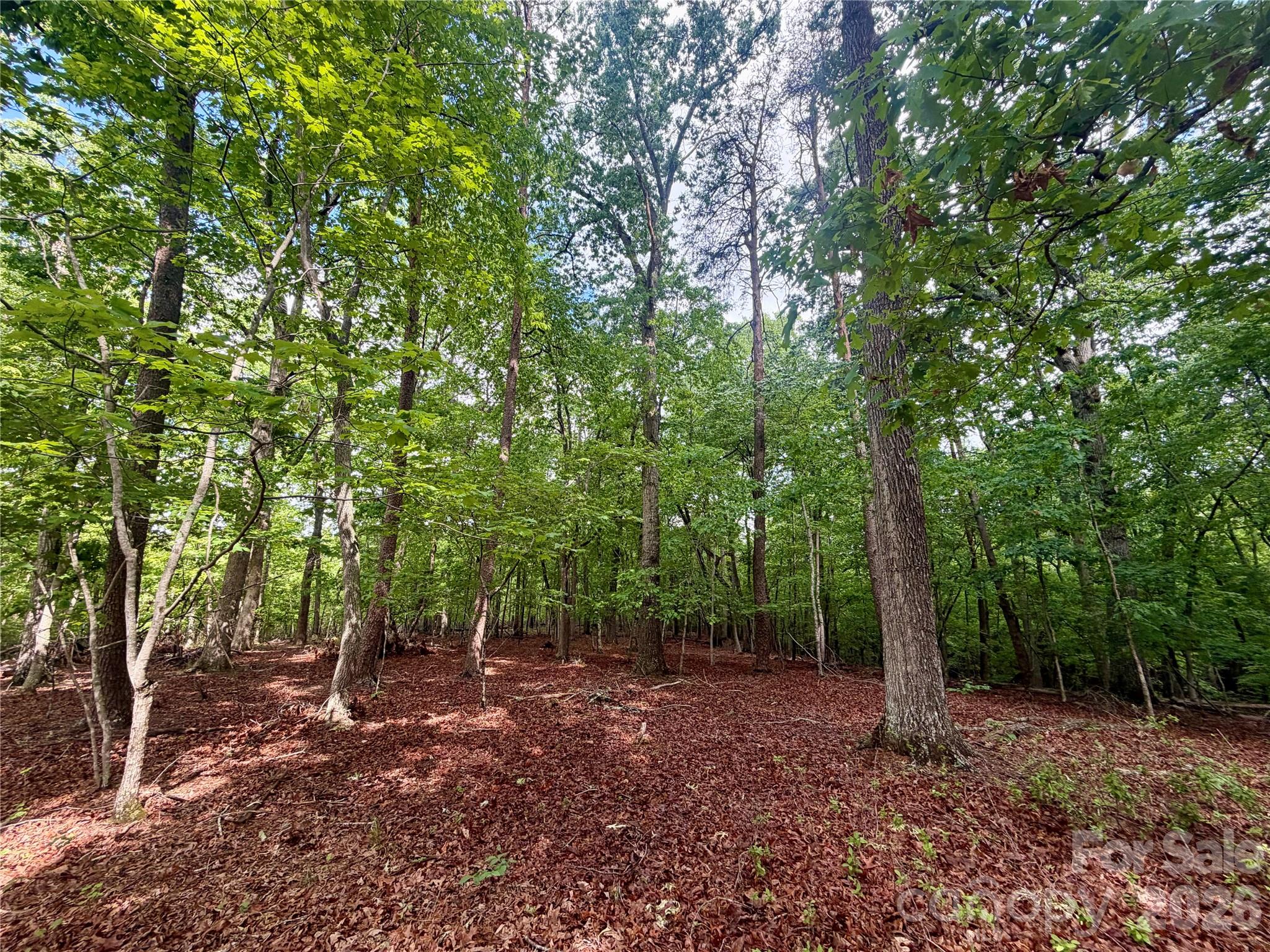 232 Chase Drive Forest City NC 28043