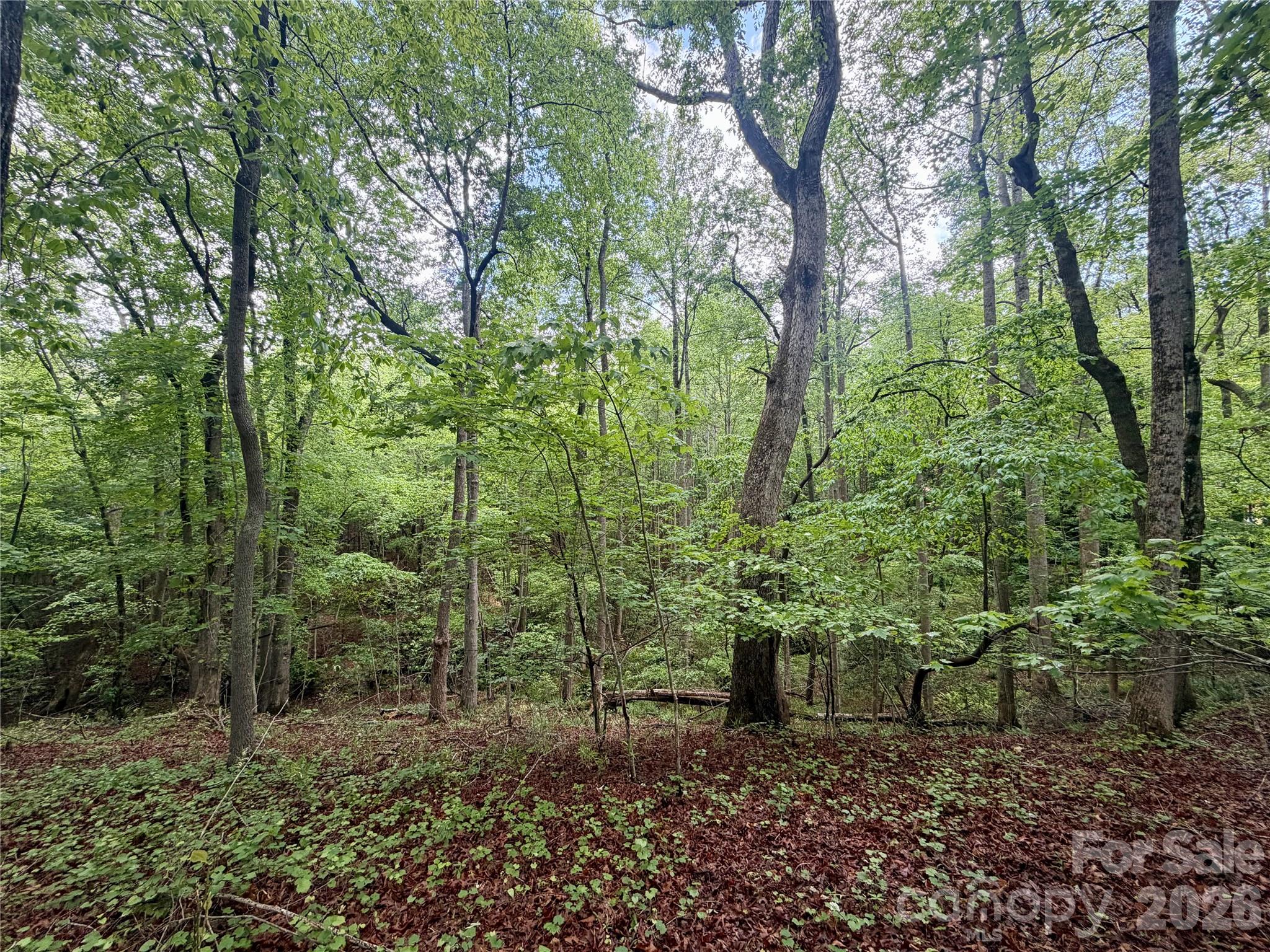 232 Chase Drive Forest City NC 28043