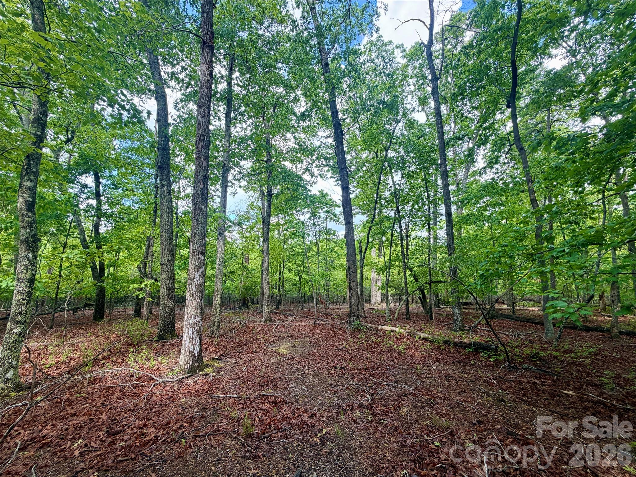 232 Chase Drive Forest City NC 28043