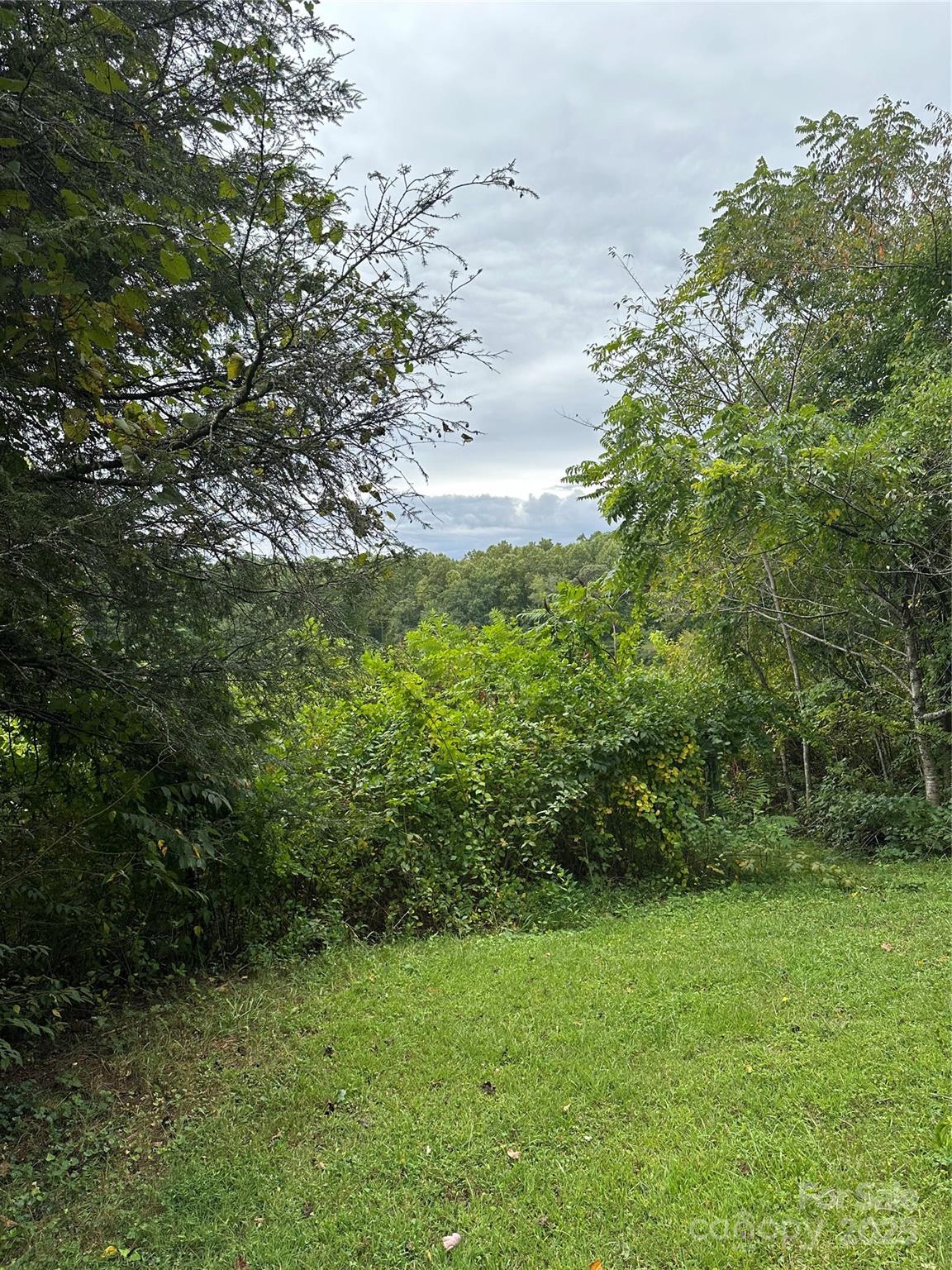 112 And 154 Merri Drive Hendersonville NC 28792