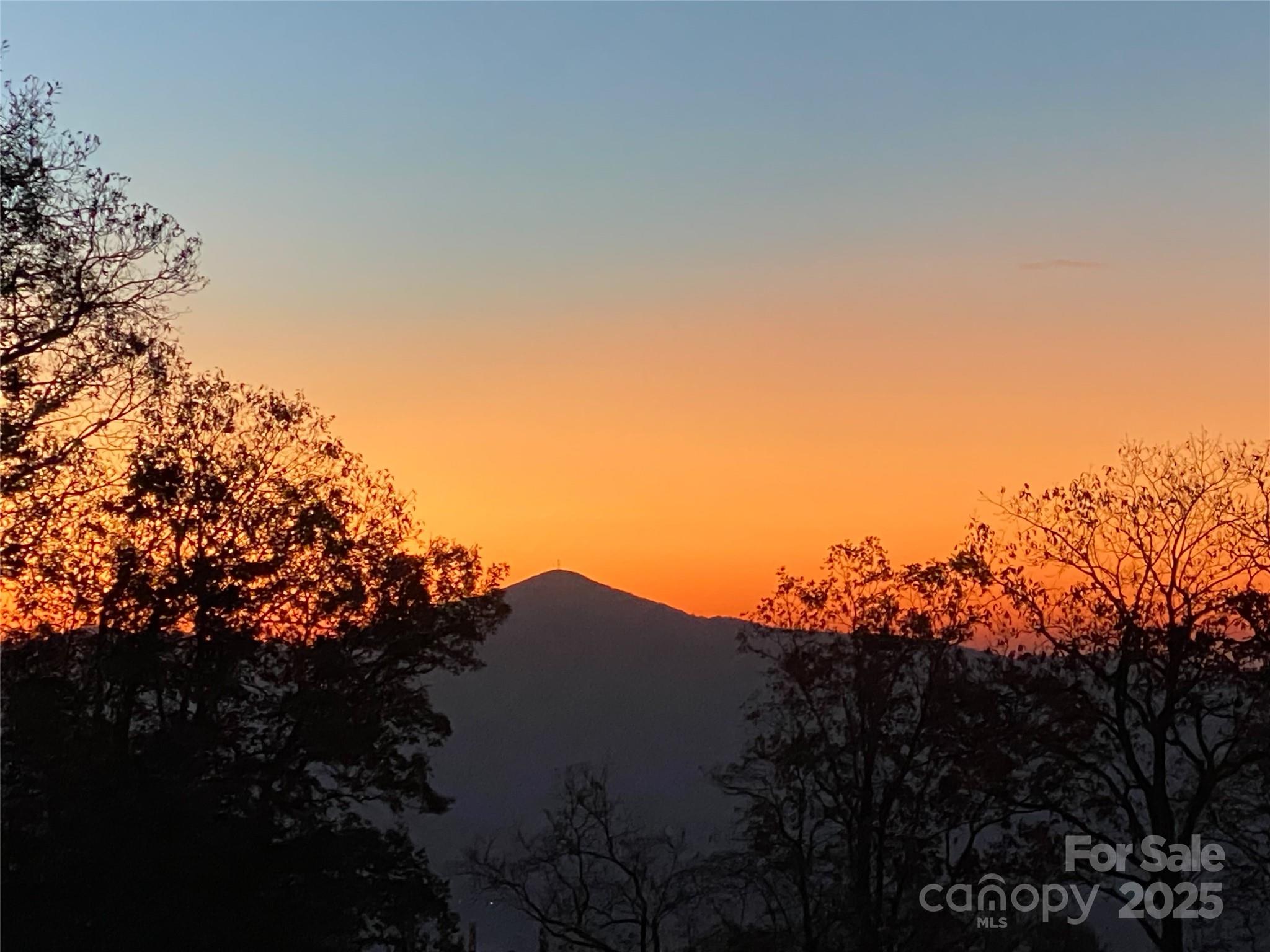 18 E Owl Creek Lane Fairview NC 28730