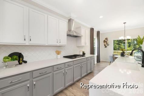 285 Gray Wolf Street China Grove NC 28023