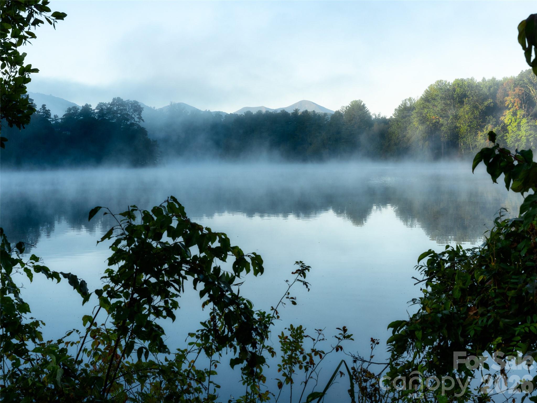 115 Ginger Quill Circle Biltmore Lake NC 28715