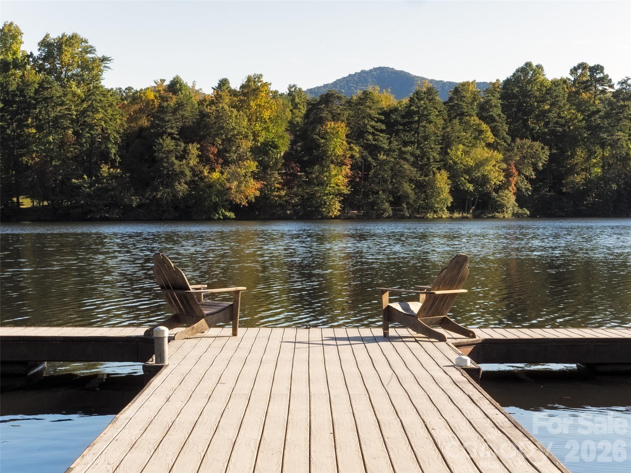 115 Ginger Quill Circle Biltmore Lake NC 28715