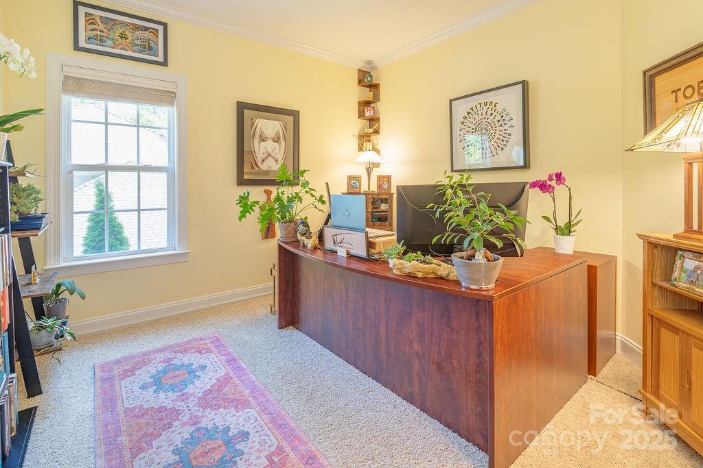 224 Fennel Dun Circle Biltmore Lake NC 28715