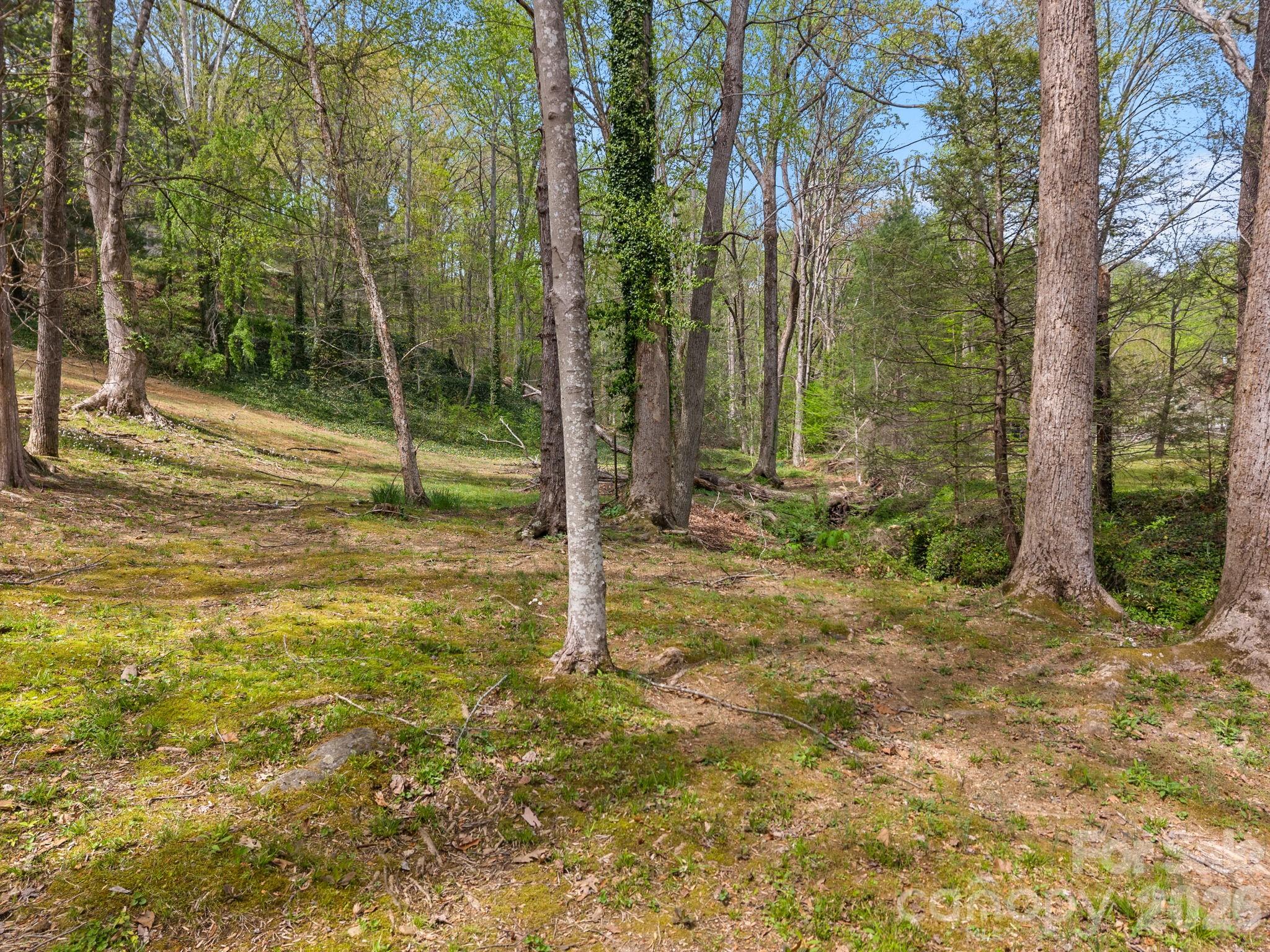 140 Meadowlark Drive Tryon NC 28782