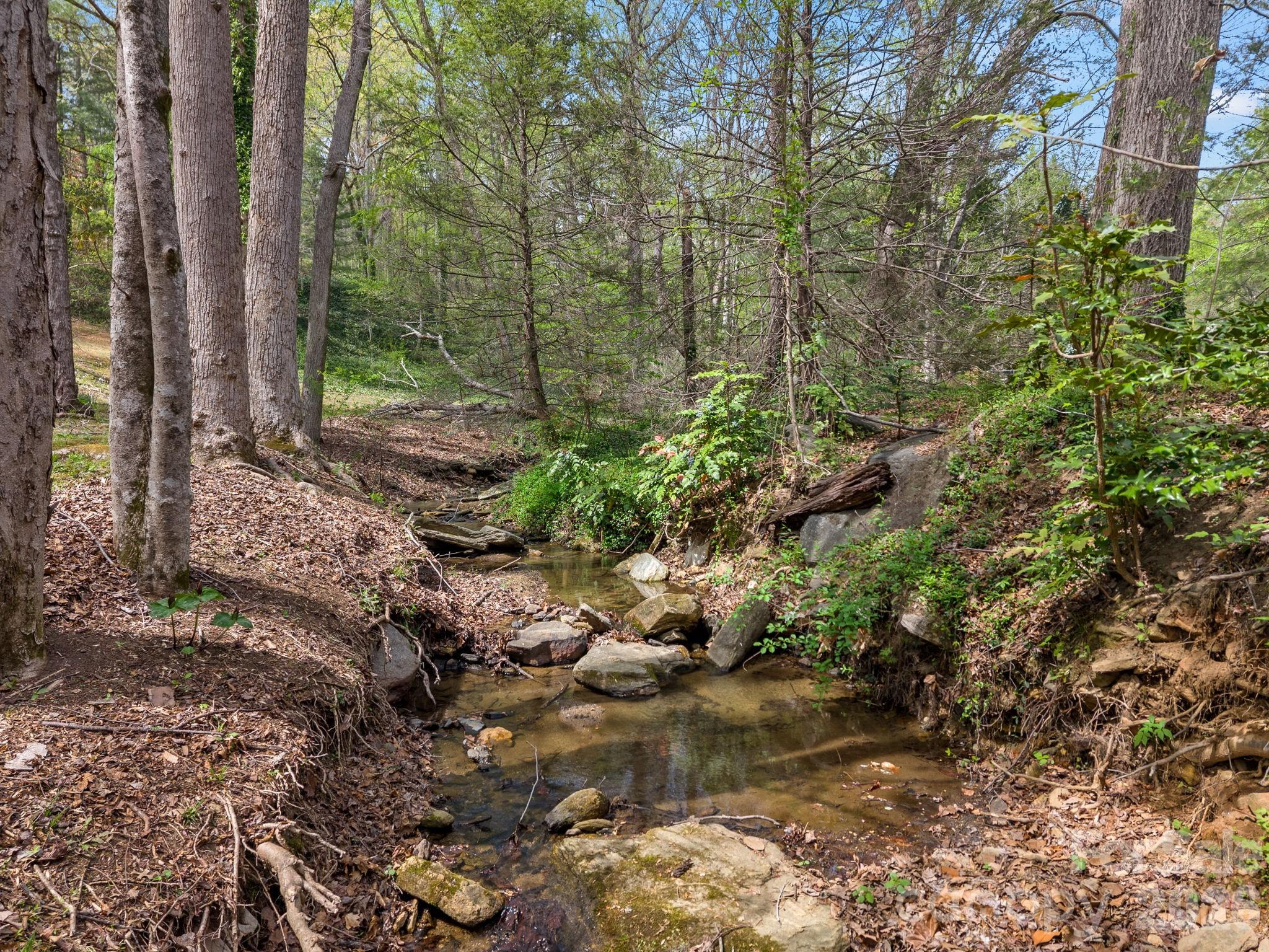 140 Meadowlark Drive Tryon NC 28782