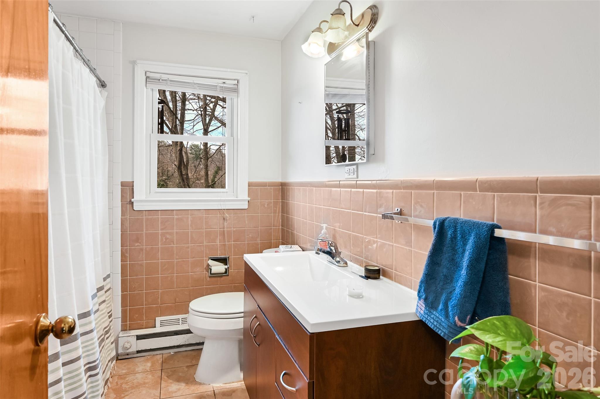 297 White Pine Drive Asheville NC 28805