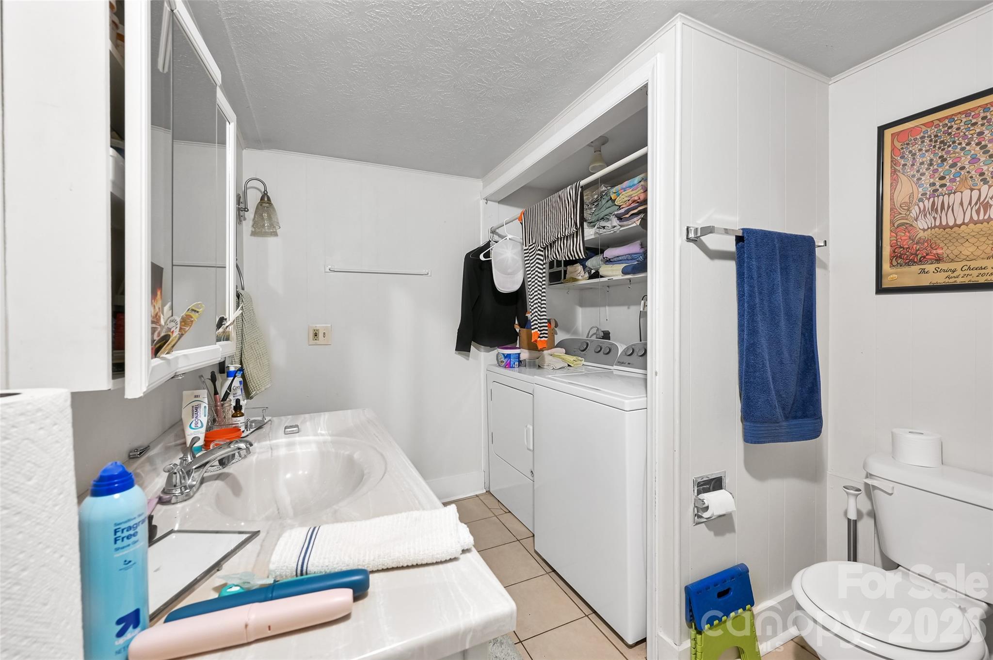 297 White Pine Drive Asheville NC 28805