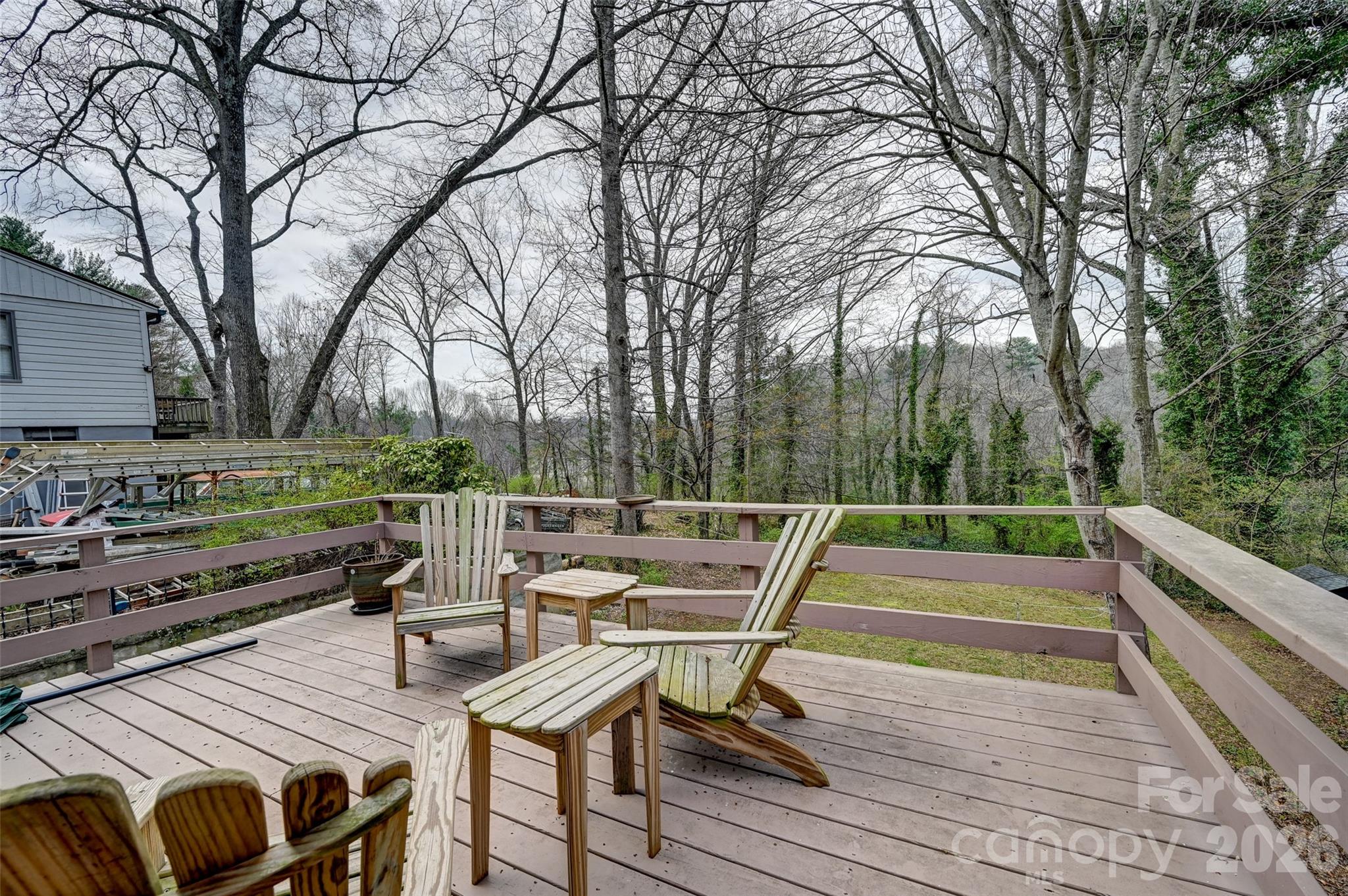 297 White Pine Drive Asheville NC 28805