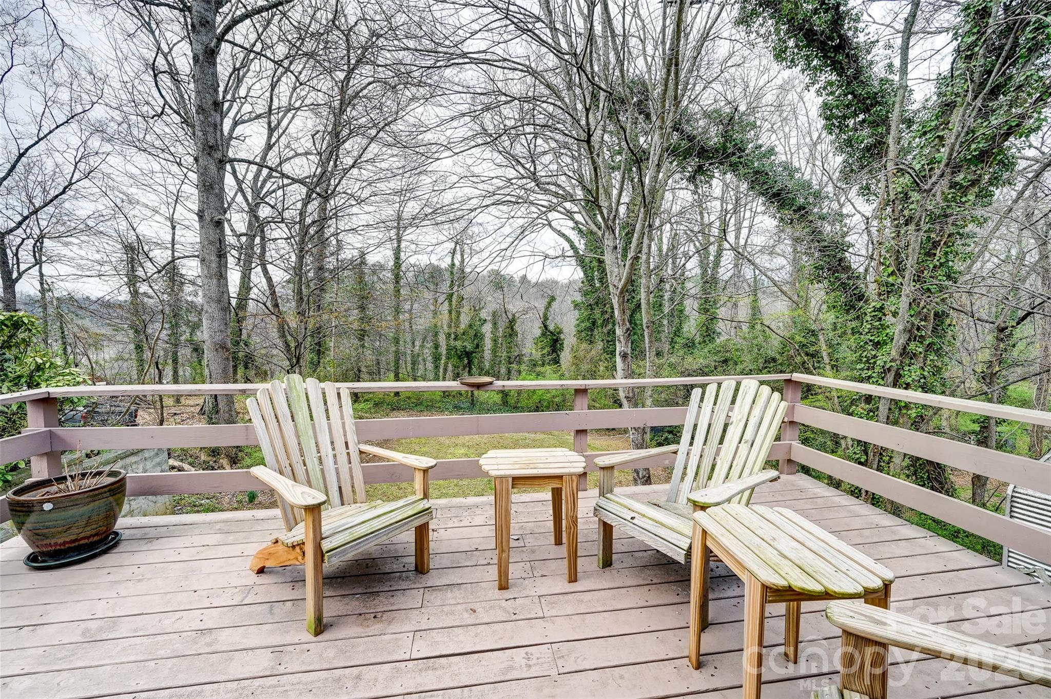 297 White Pine Drive Asheville NC 28805