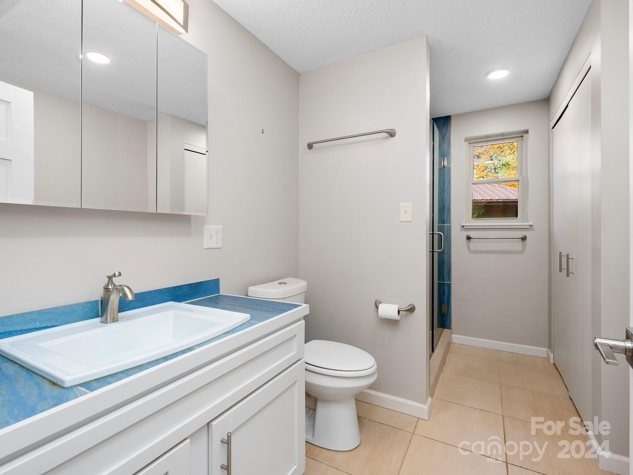 9 Wellspring Lane Asheville NC 28806