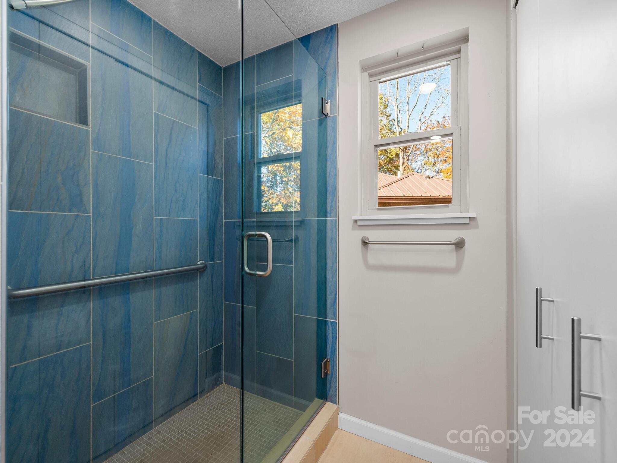 9 Wellspring Lane Asheville NC 28806