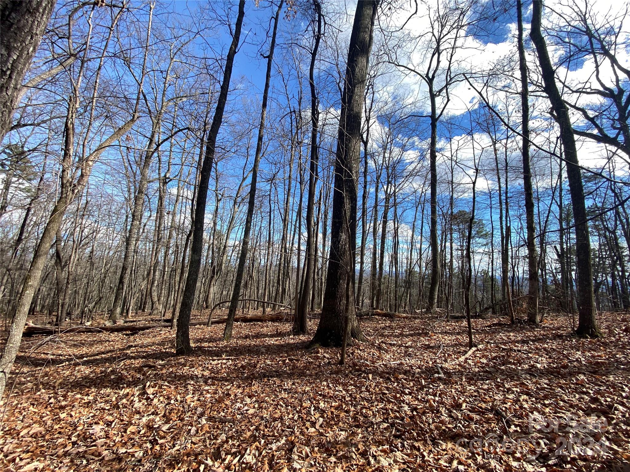 207 S Tranquility Trail Union Mills NC 28167