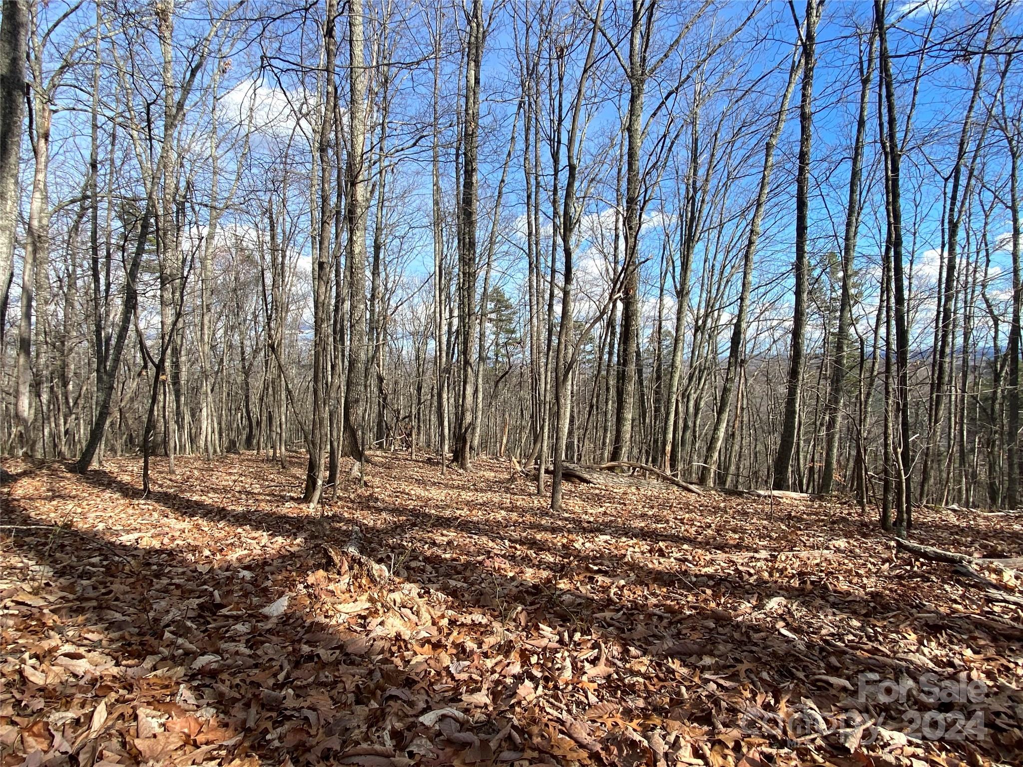 207 S Tranquility Trail Union Mills NC 28167