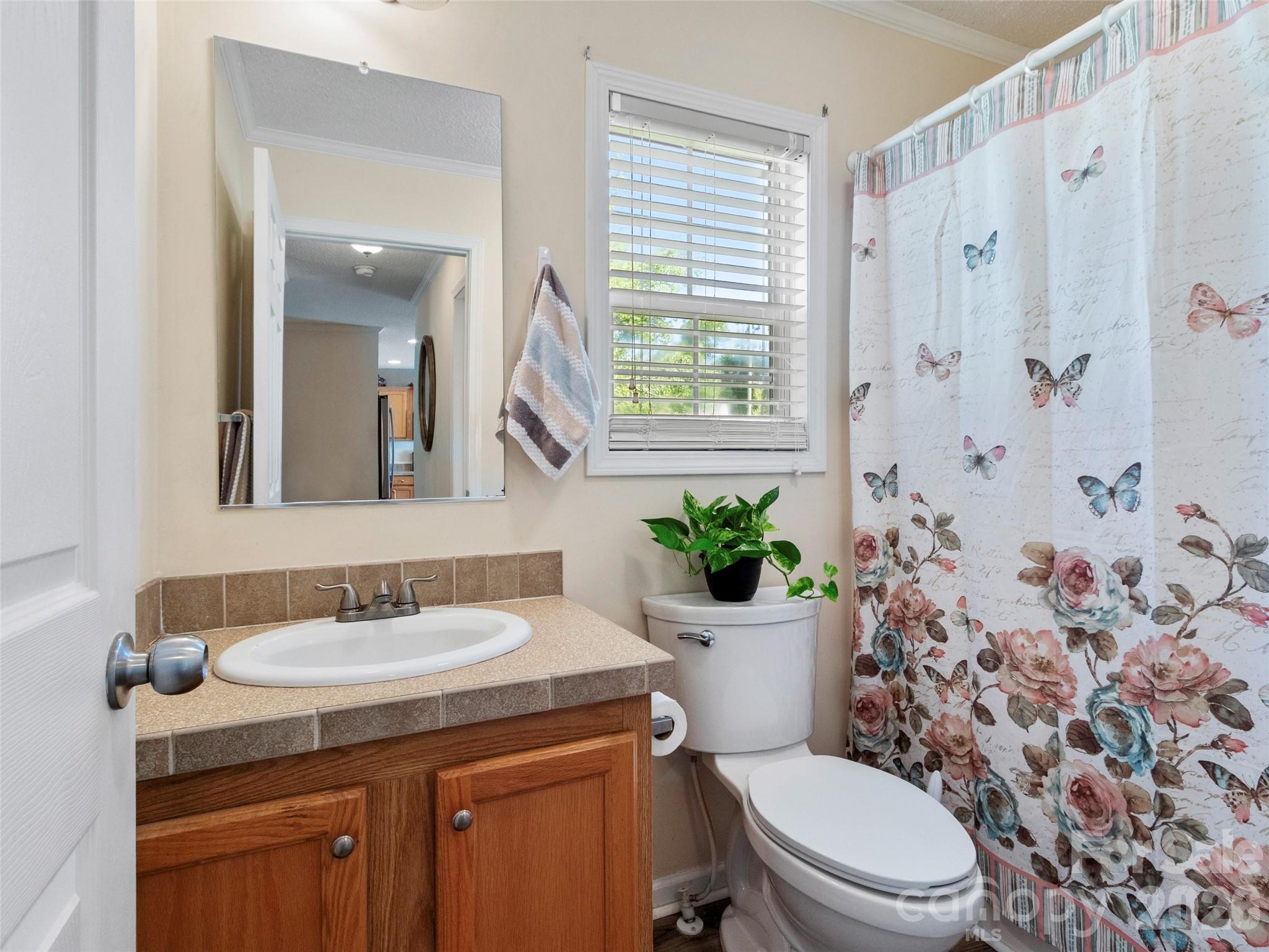 9 Sun Ridge Road Asheville NC 28806