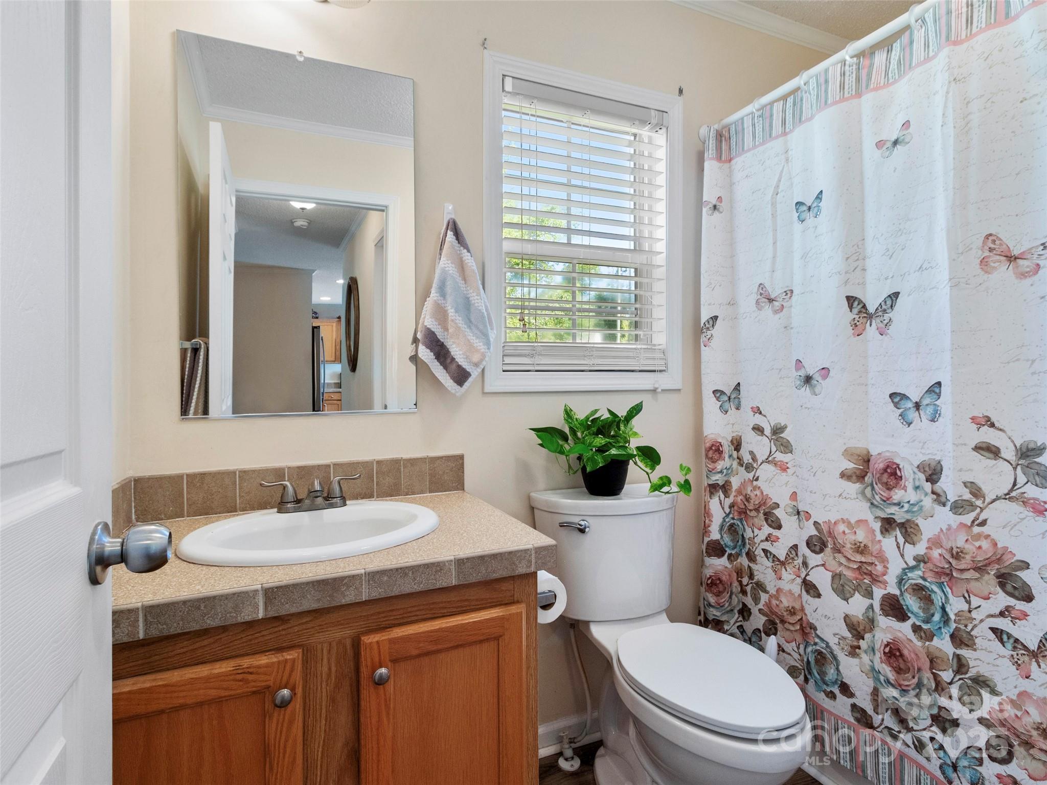 9 Sun Ridge Road Asheville NC 28806