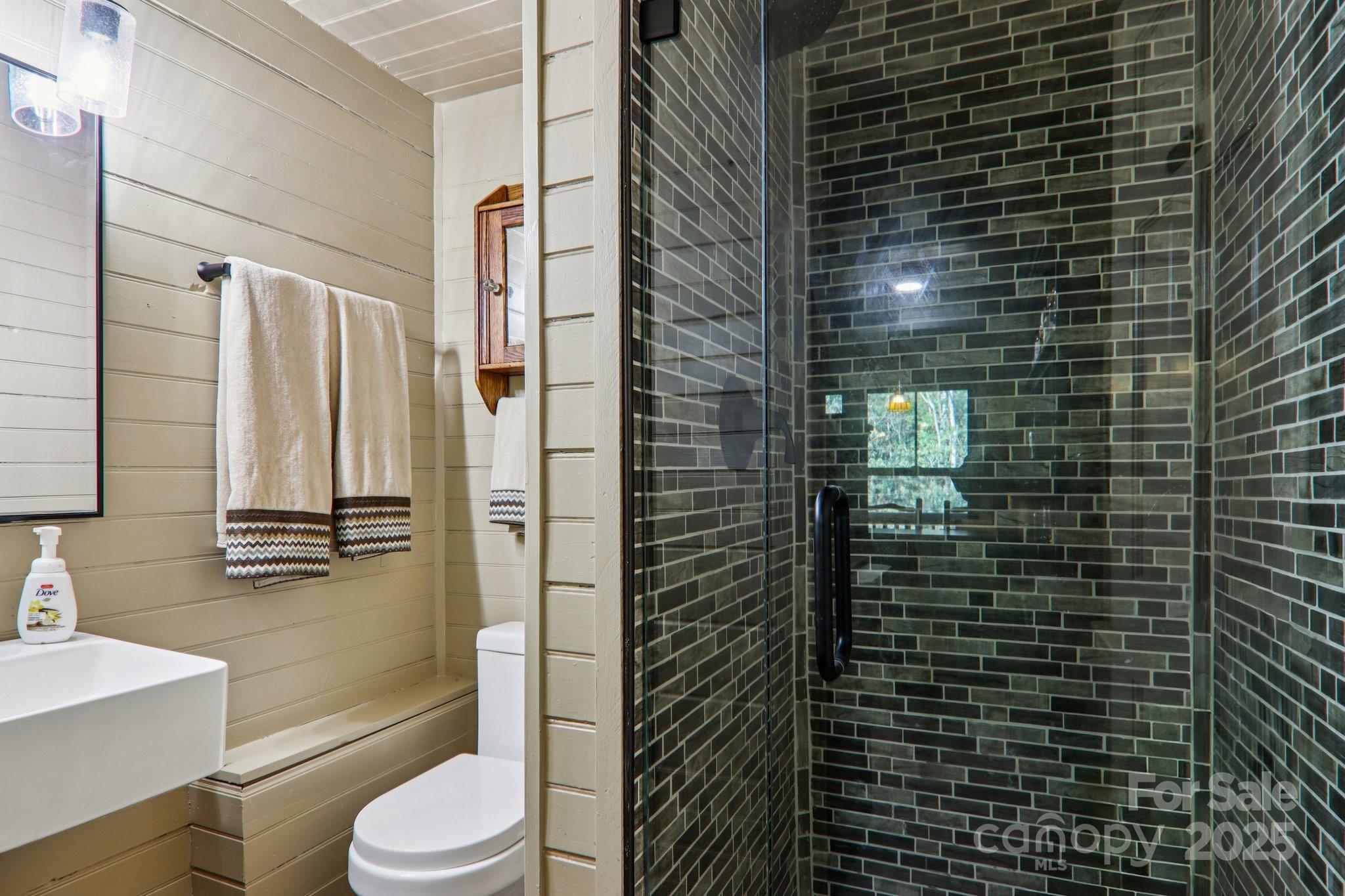 408 & 586 Little Elbow Mountain Road Lake Toxaway NC 28747