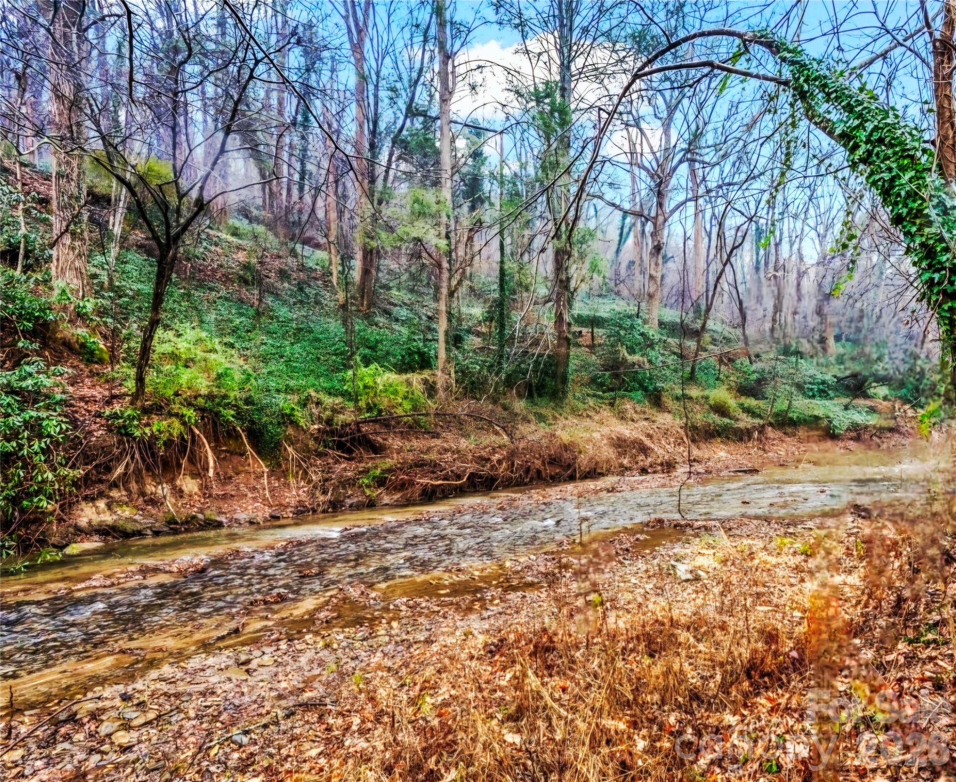 109 Wall Road Tryon NC 28782