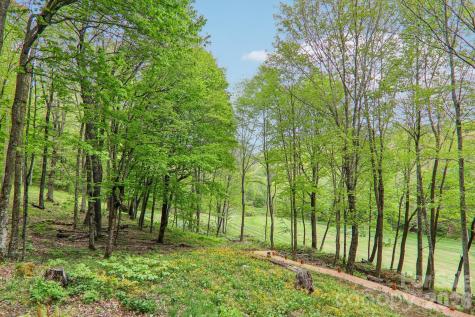 101 Oak Ridge Court Mars Hill NC 28754