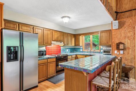 101 Oak Ridge Court Mars Hill NC 28754