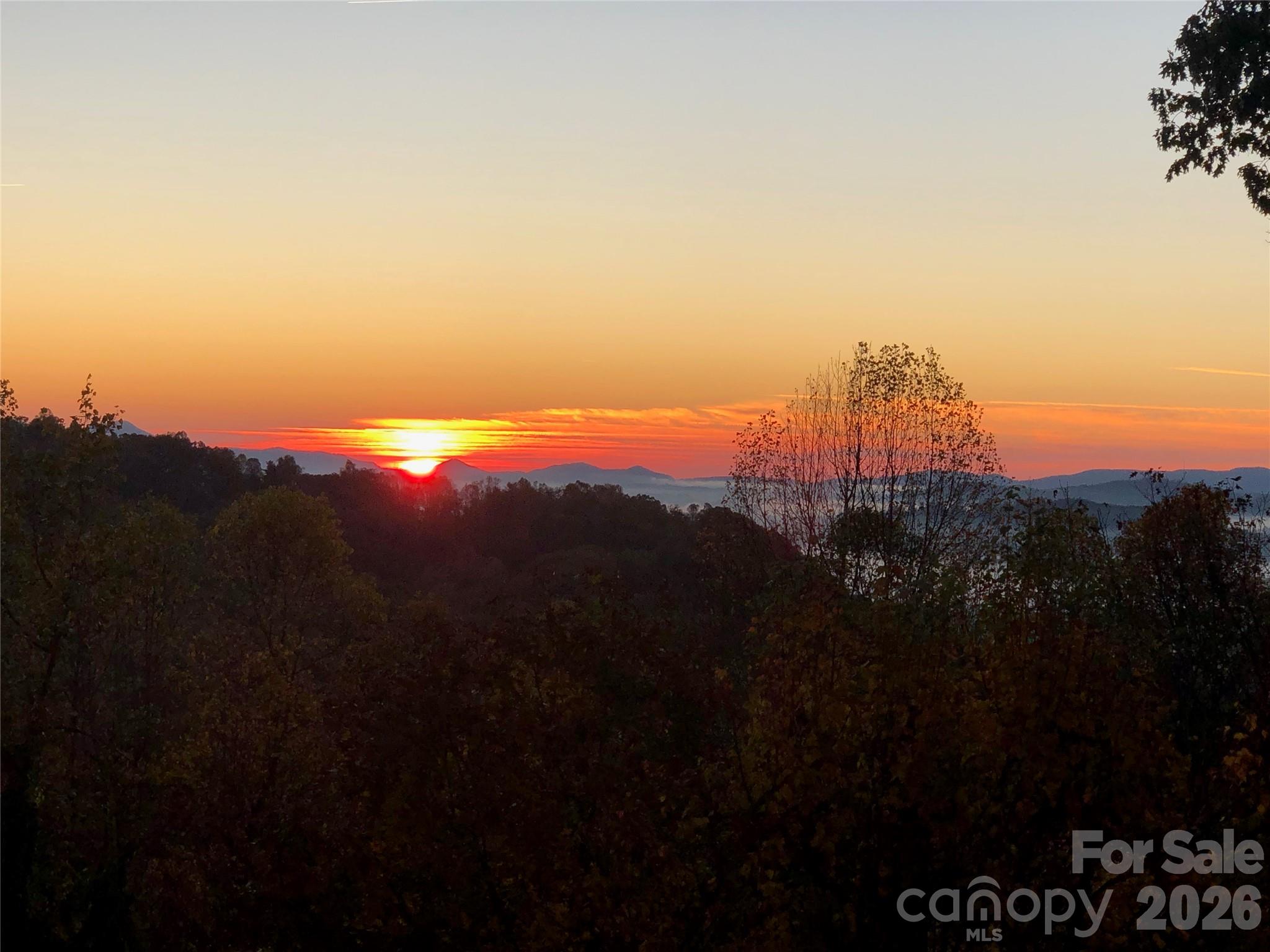 105 Spring Path Hendersonville NC 28739
