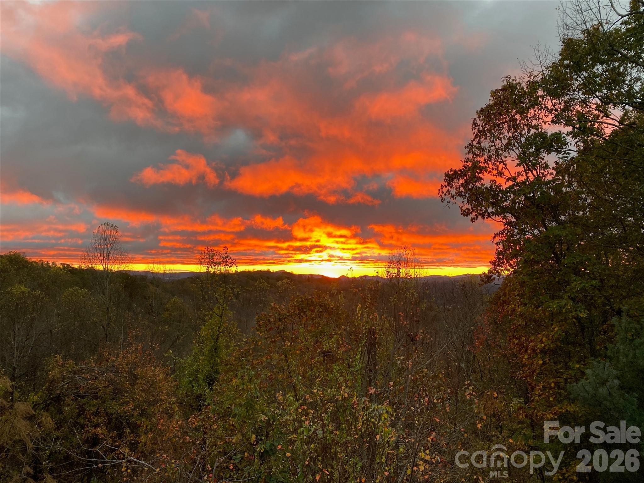 105 Spring Path Hendersonville NC 28739