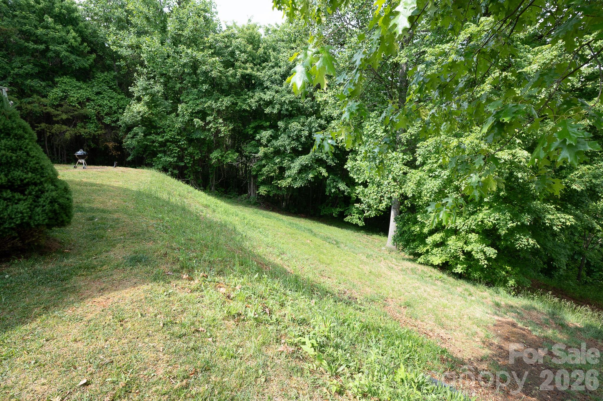 451 Rustic Ridge Drive Canton NC 28716
