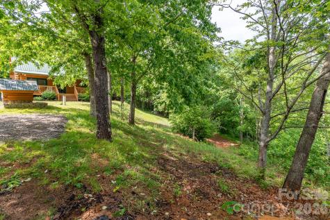 451 Rustic Ridge Drive Canton NC 28716