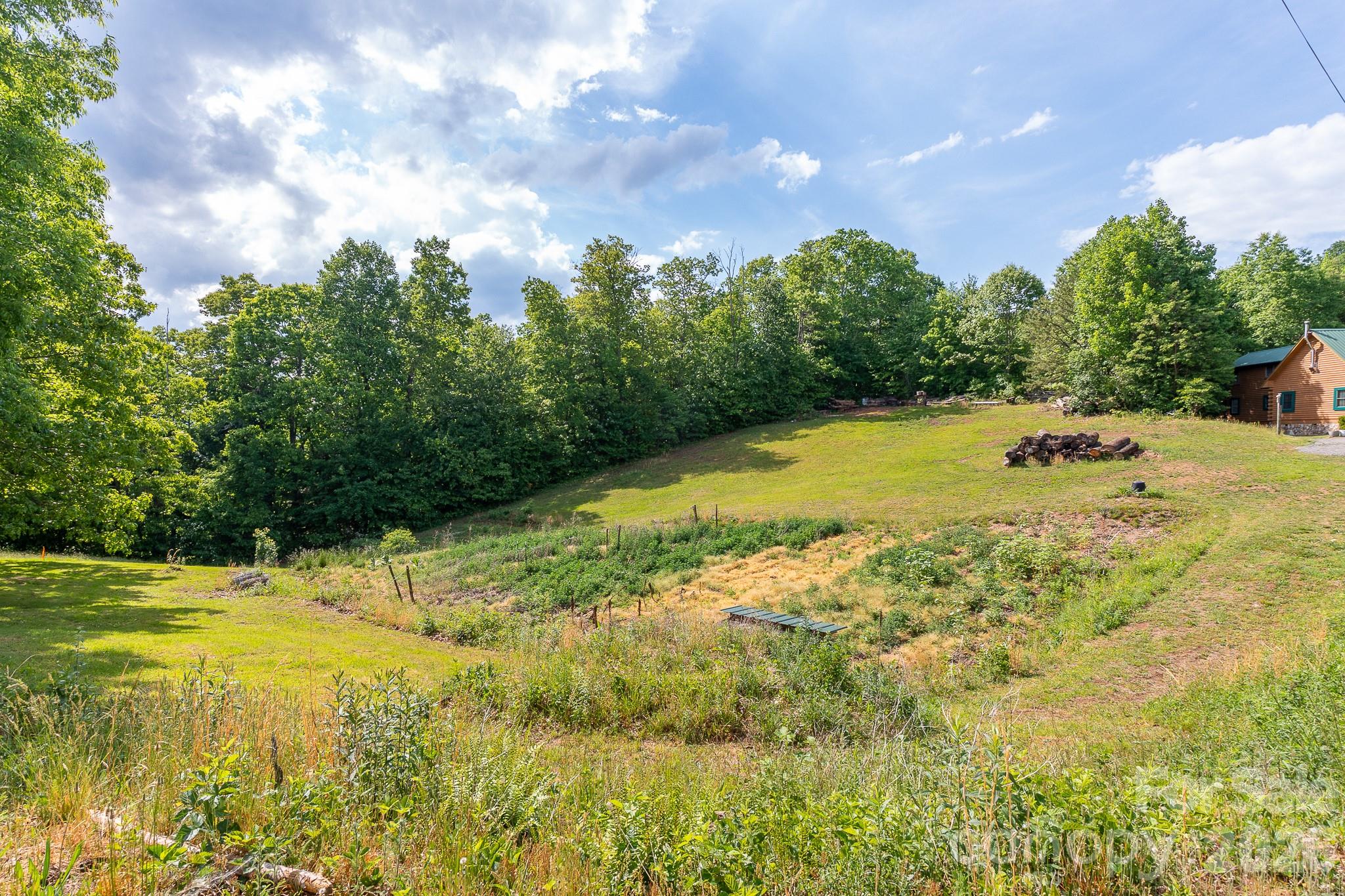 451 Rustic Ridge Drive Canton NC 28716