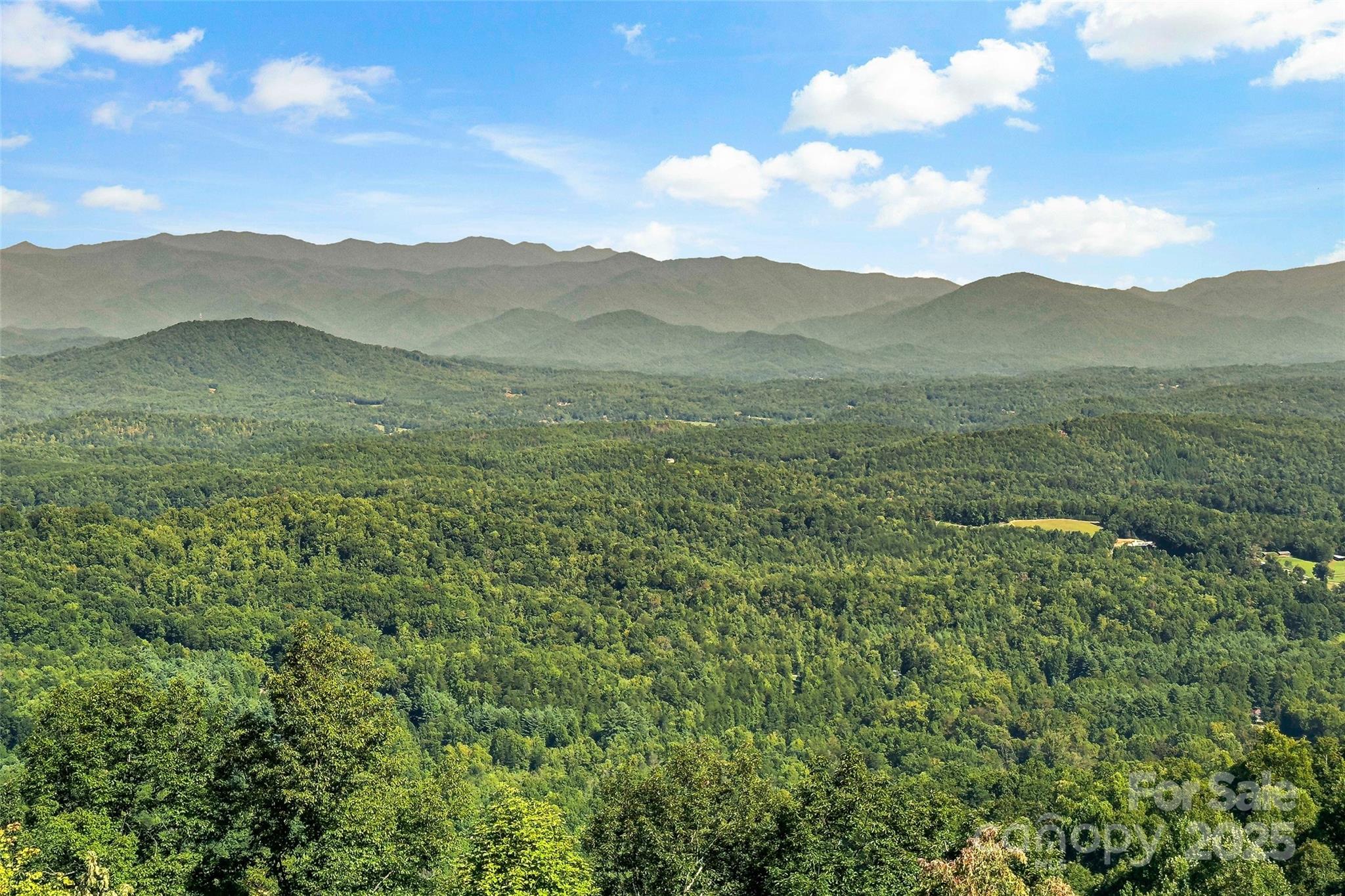 46 Spring Forest Drive Old Fort NC 28762