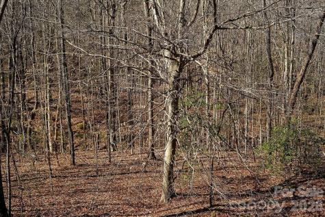 7972 Summit Ridge Drive Catawba NC 28609