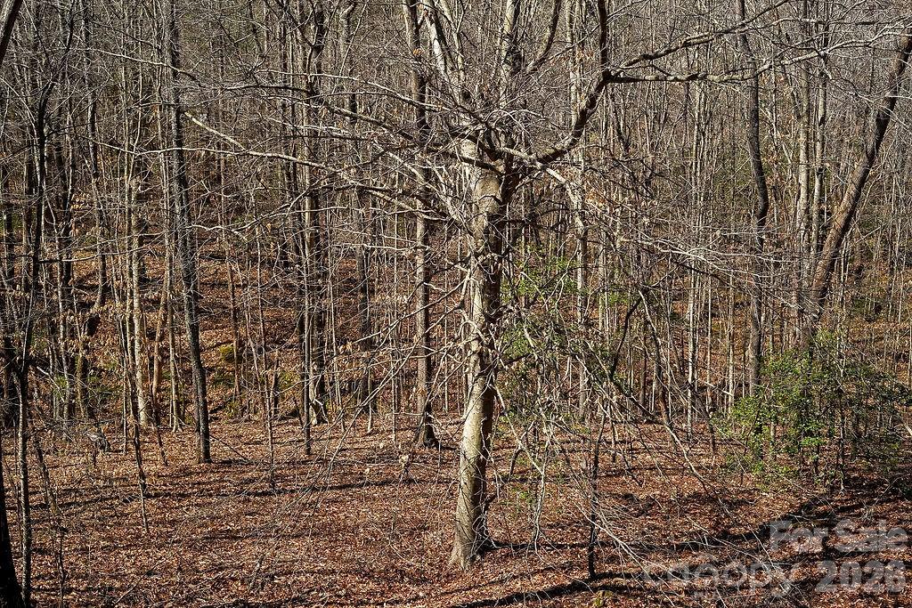 7972 Summit Ridge Drive Catawba NC 28609
