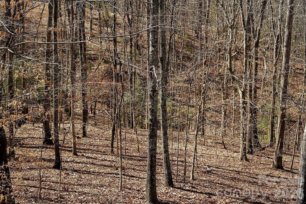 7972 Summit Ridge Drive Catawba NC 28609