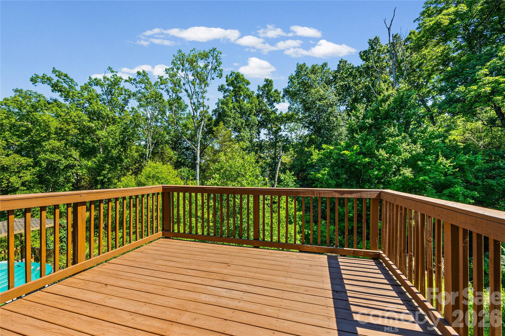 1008 Dorsey Drive Fort Mill SC 29715