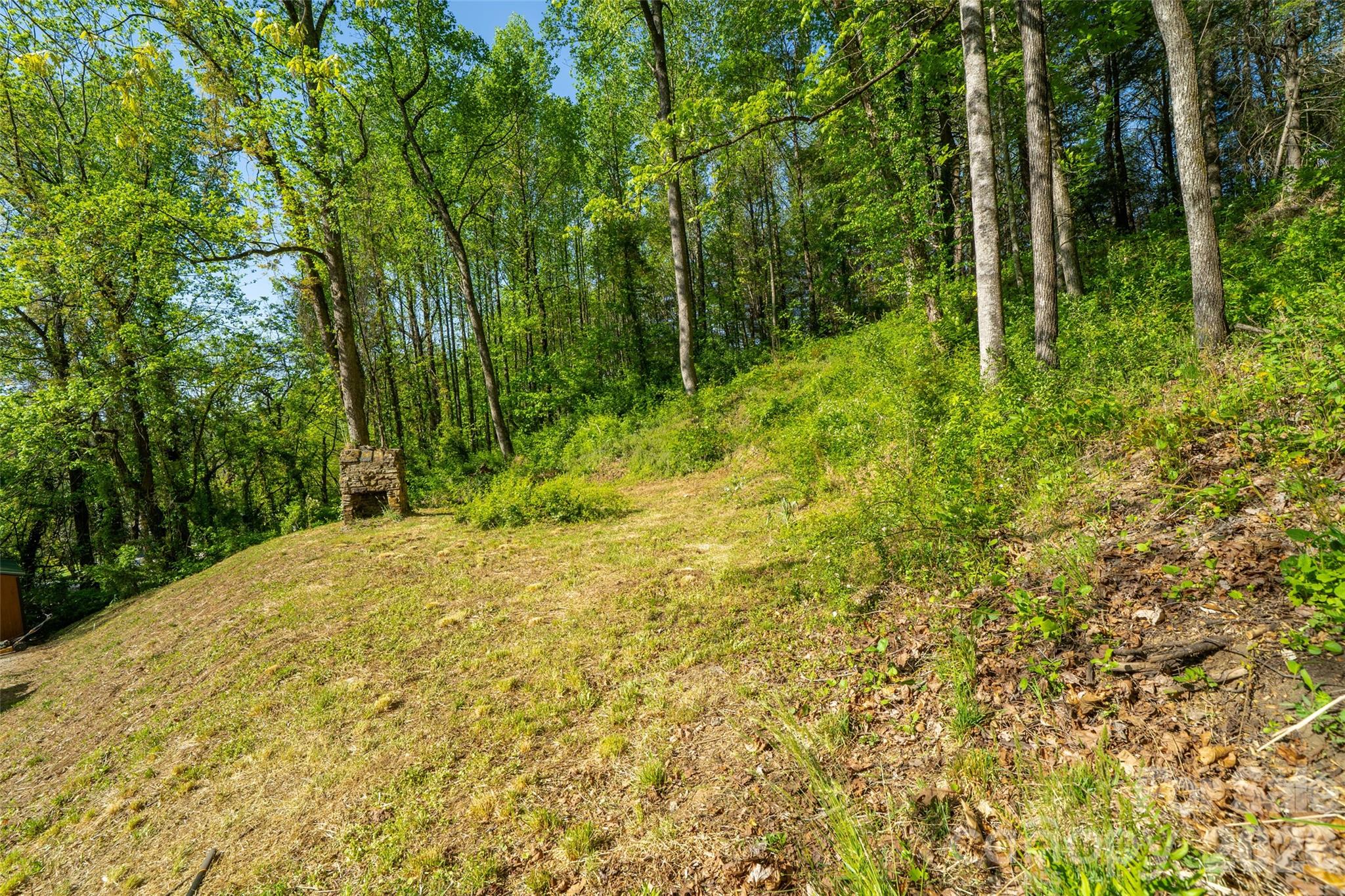 328 Old Greenville Road Zirconia NC 28790