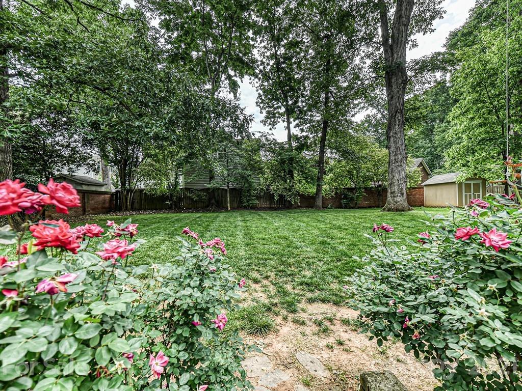 5001 Montclair Avenue Charlotte NC 28211