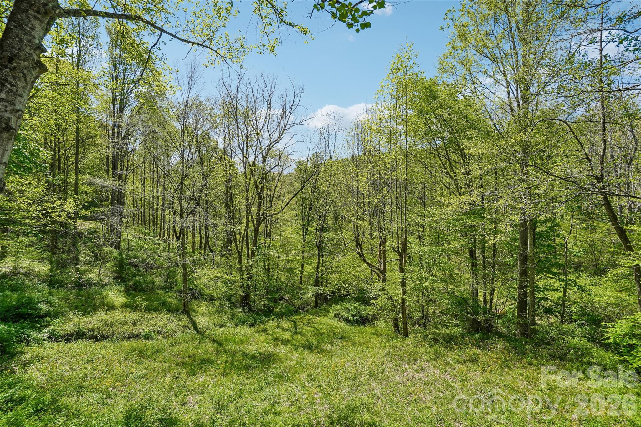 66 Pinto Trail Sylva NC 28779