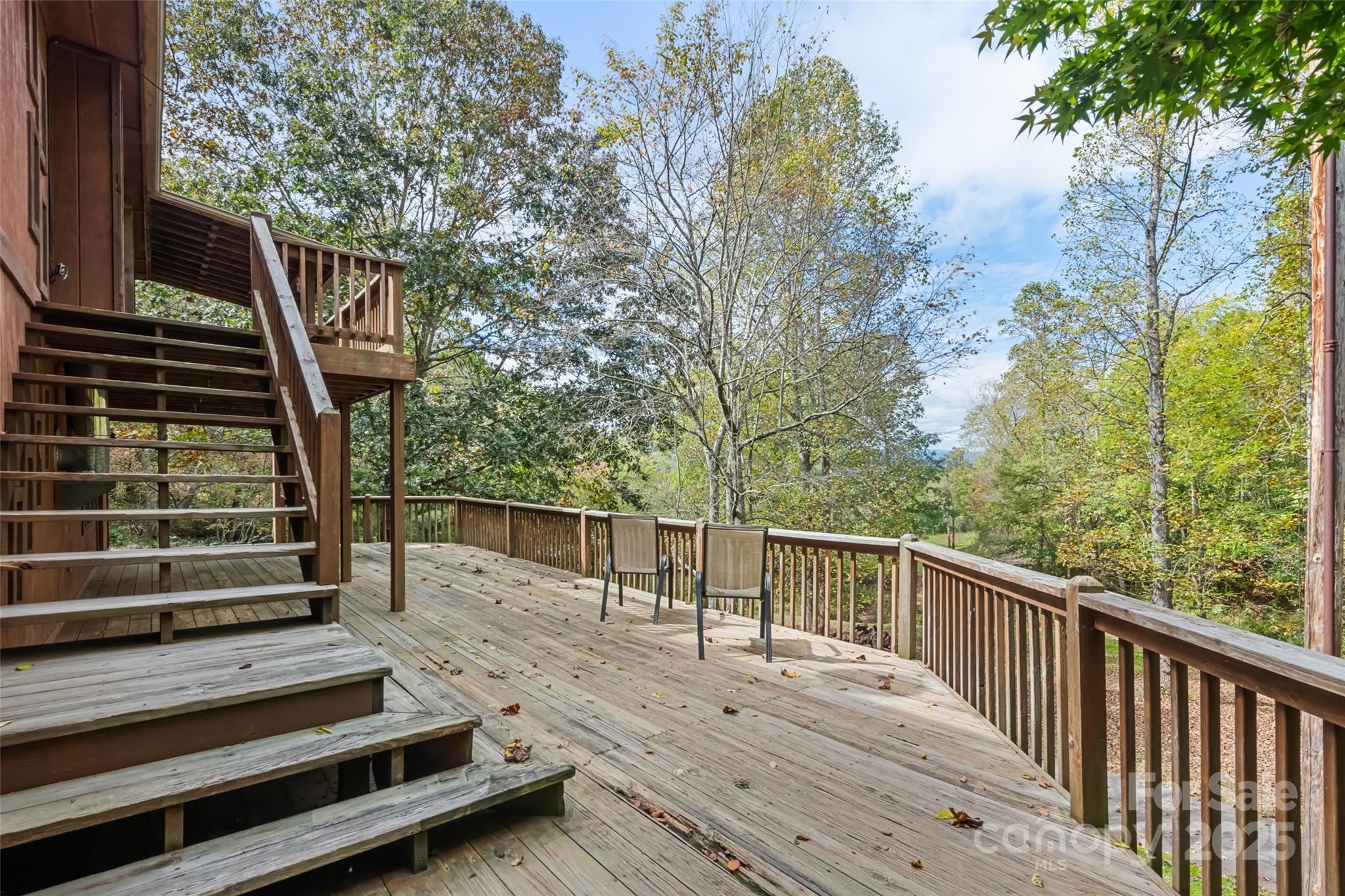 940 Haynes Cove Clyde NC 28721