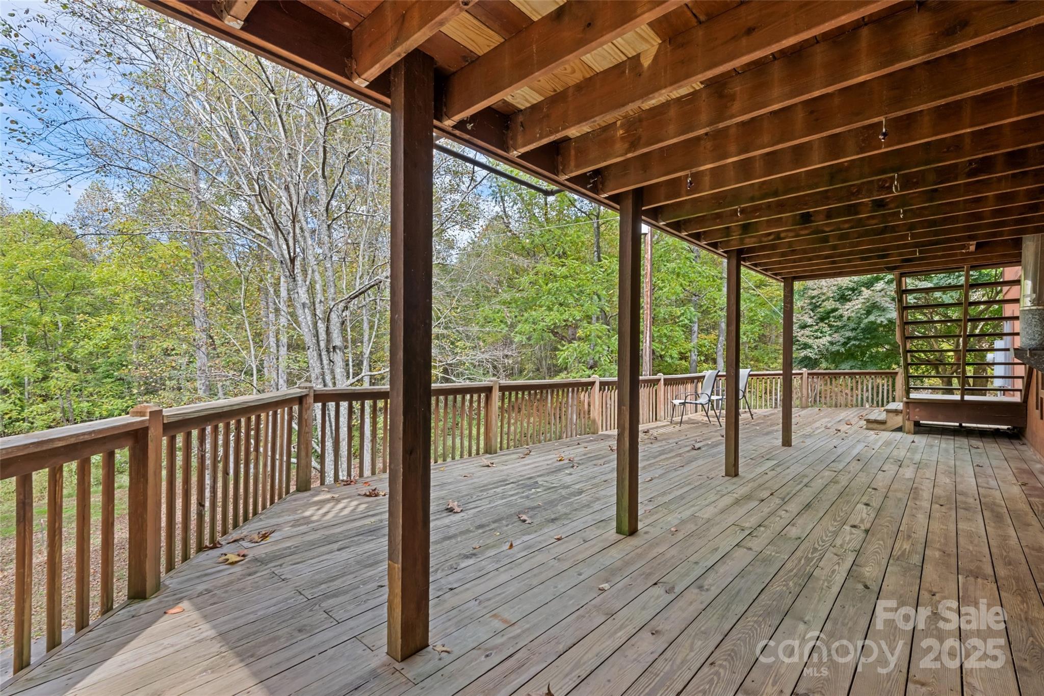 940 Haynes Cove Clyde NC 28721