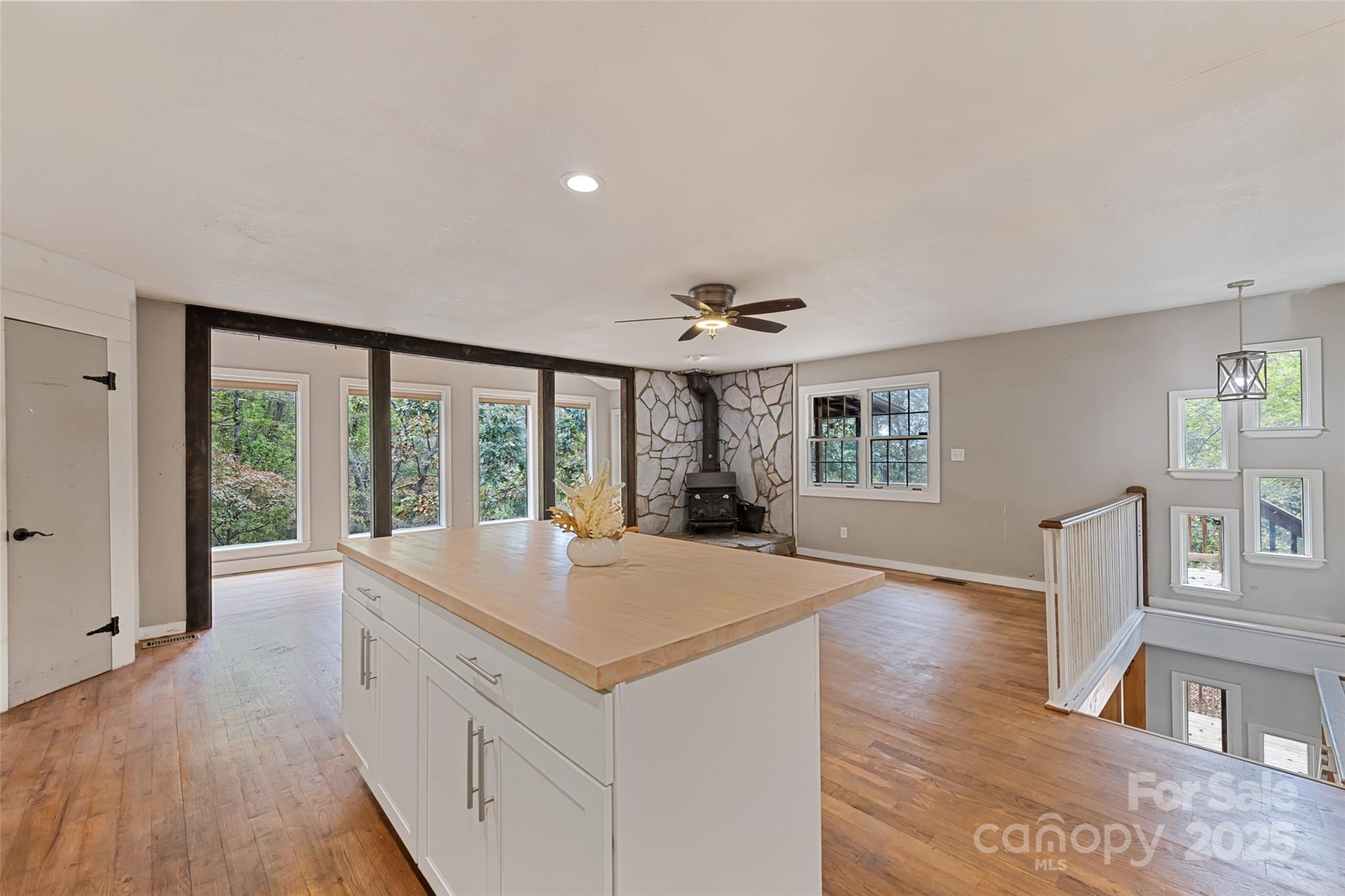 940 Haynes Cove Clyde NC 28721