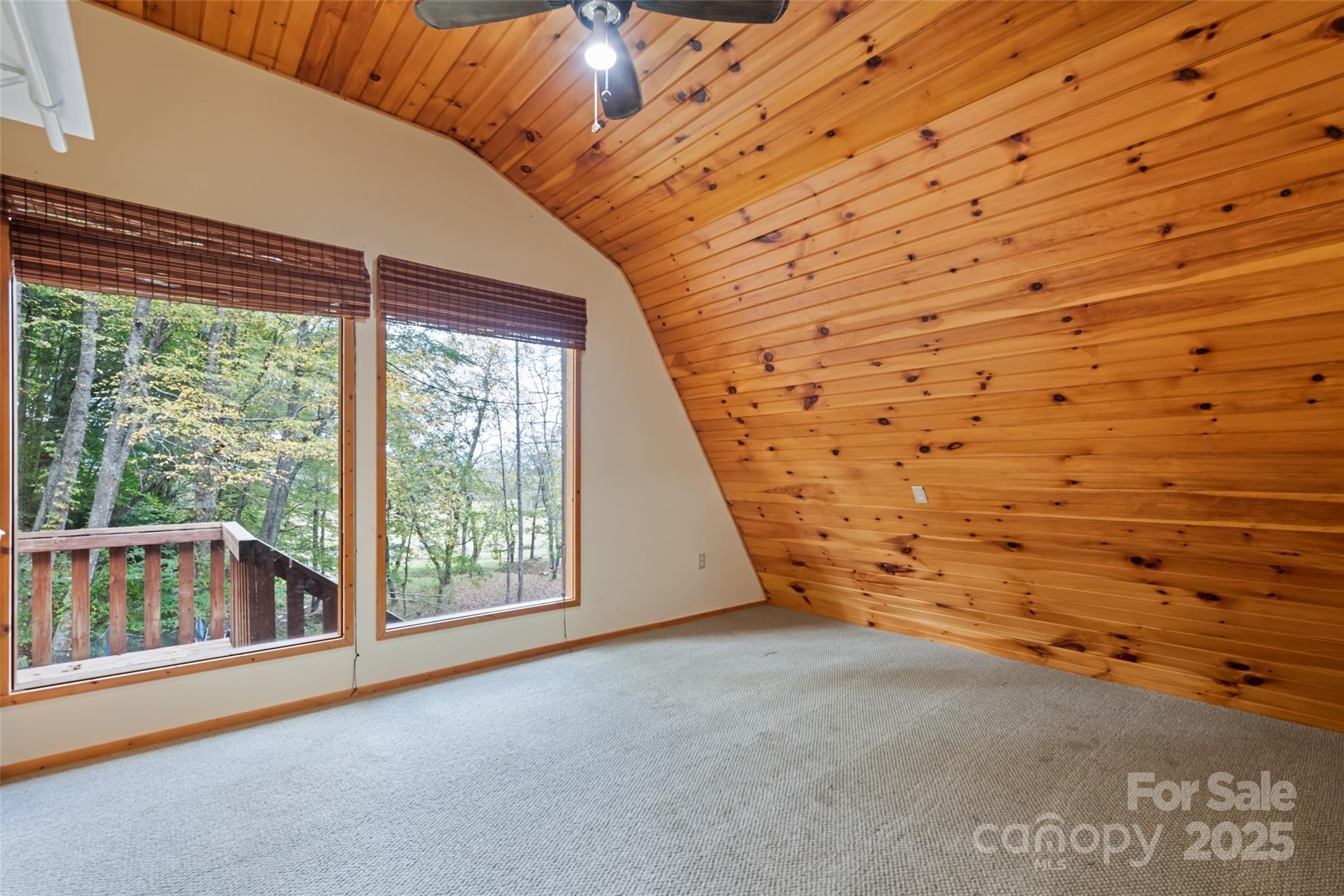 940 Haynes Cove Clyde NC 28721
