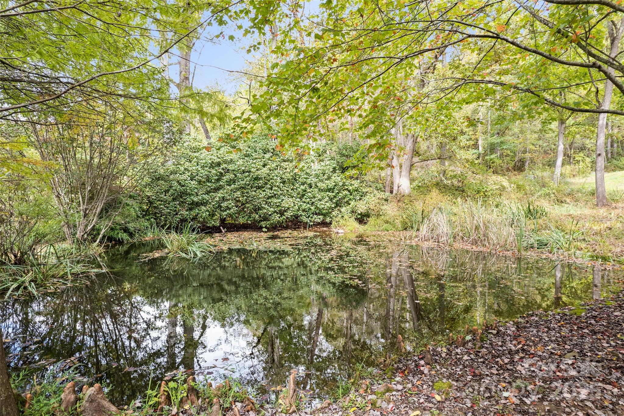 940 Haynes Cove Clyde NC 28721