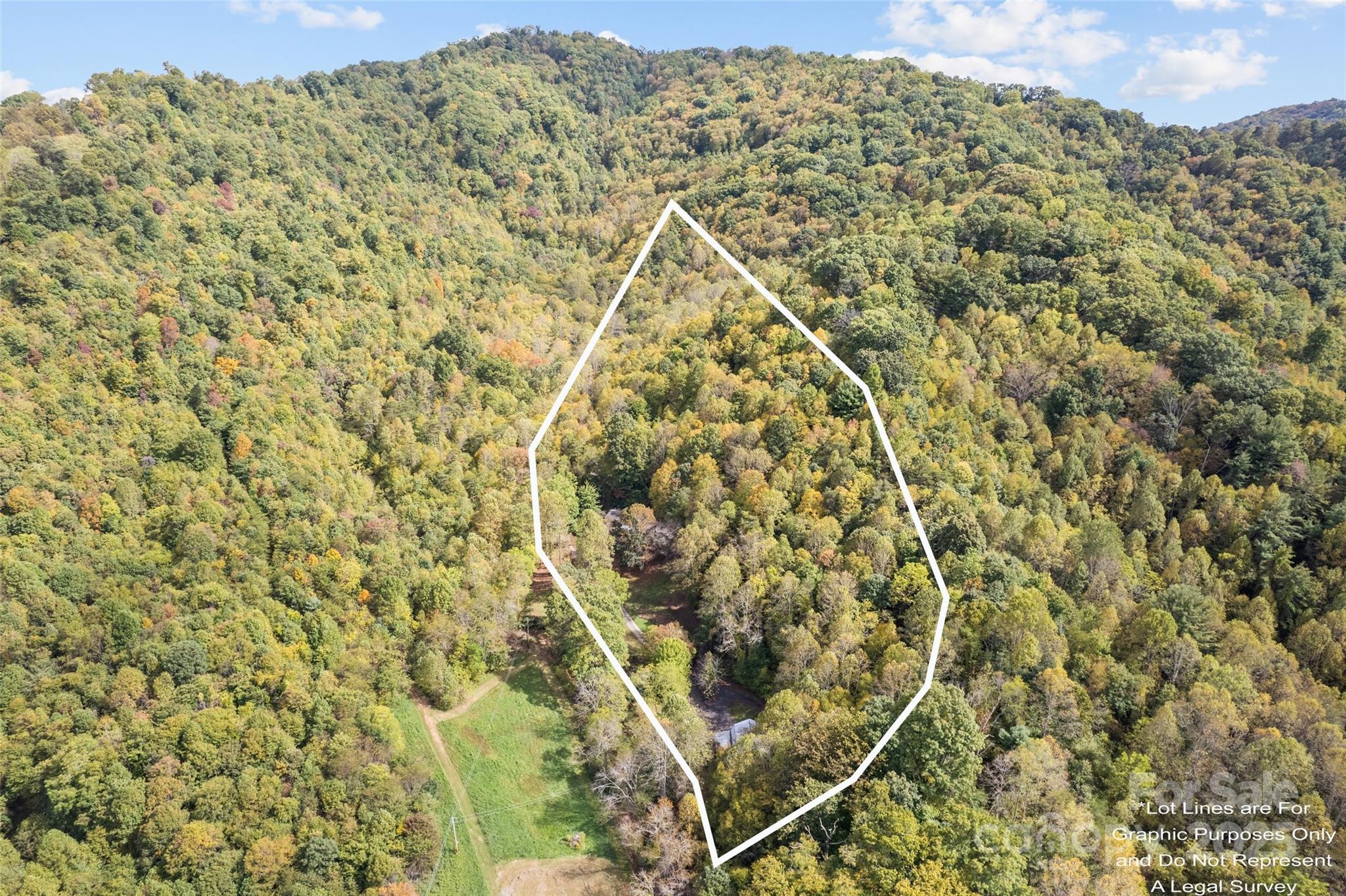 940 Haynes Cove Clyde NC 28721
