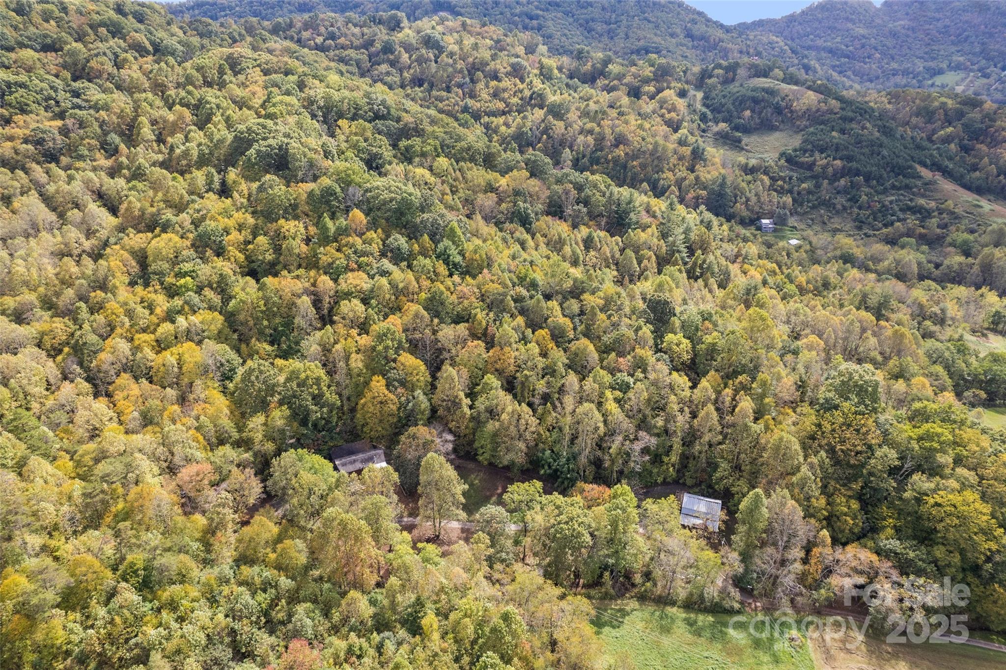 940 Haynes Cove Clyde NC 28721