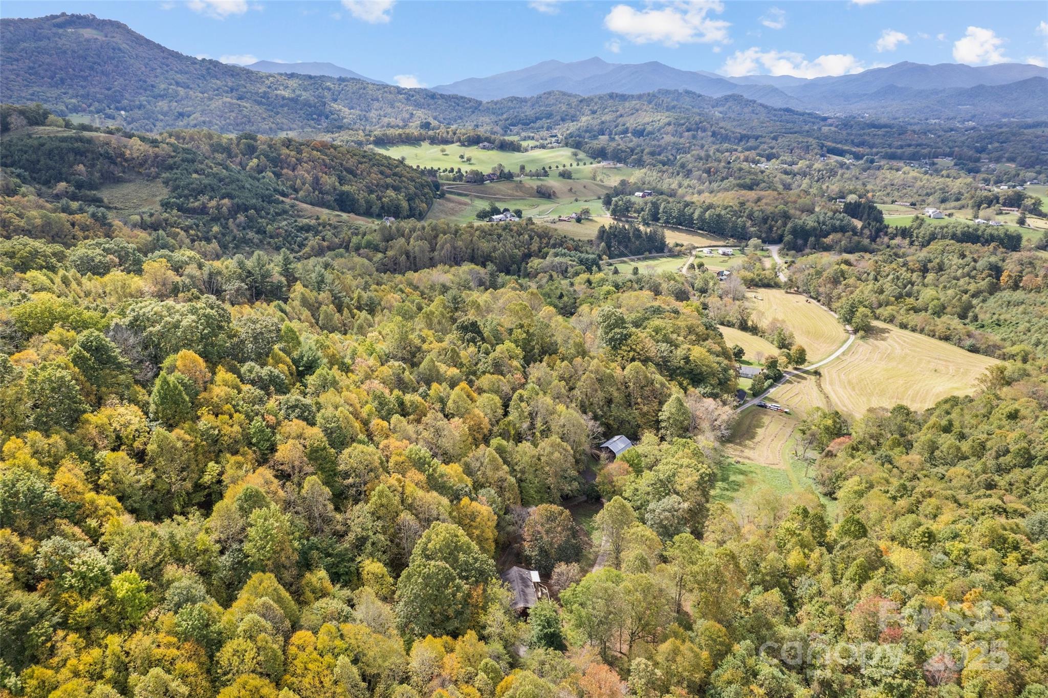 940 Haynes Cove Clyde NC 28721